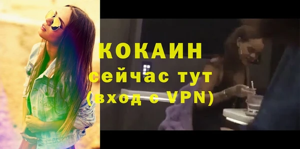 шишки Арсеньев