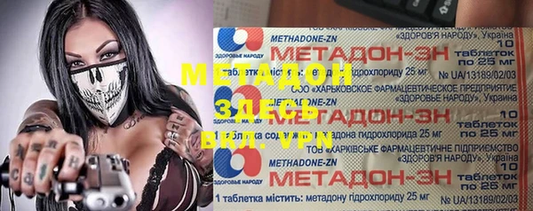 шишки Арсеньев