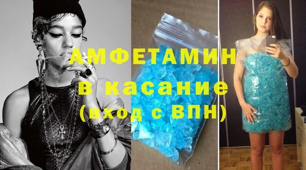 шишки Арсеньев