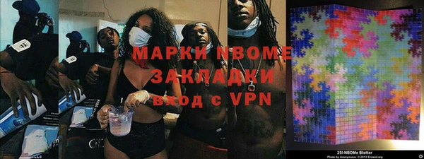 шишки Арсеньев