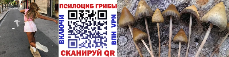 дарнет шоп  hydra вход  darknet состав  Динская  Псилоцибиновые грибы Psilocybe 